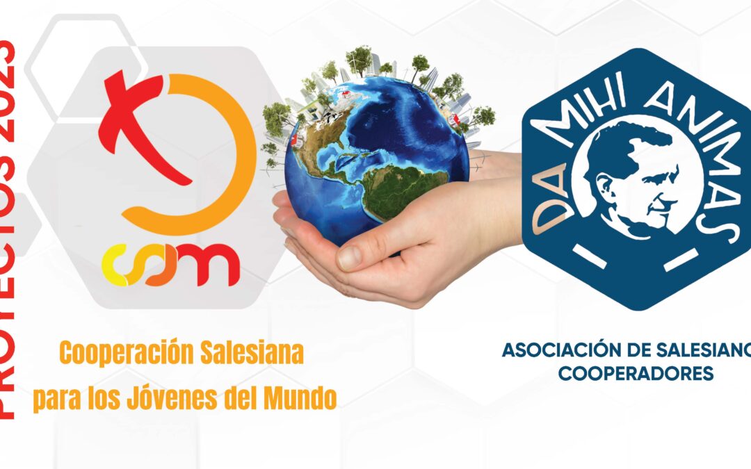 CSJM. La Consulta Regional aprueba los proyectos de 2025