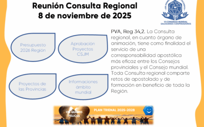 Reunión de la Consulta Regional