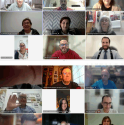 Reunión online de la Consulta Regional